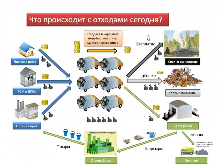 в картинках-2.jpg