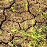 Ограничение на использование воды вступает в силу в Англии