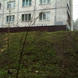 ПОСЛЕ