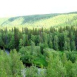 "Зеленая" энергетика - чистая прибыль или чистая окружающая среда?